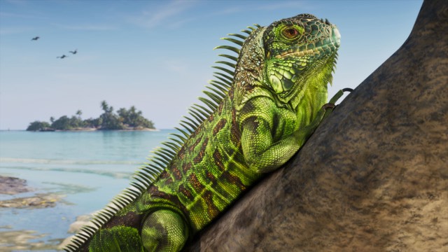 GTA 6 Leonida Keys: iguana on the rocks