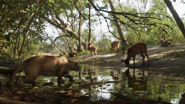 GTA 6 Mount Kalaga National Park: wildlife at the water