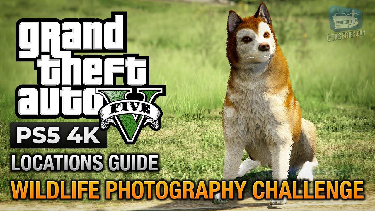 Cheat GTA 5 – Wildlife Photography Challenge