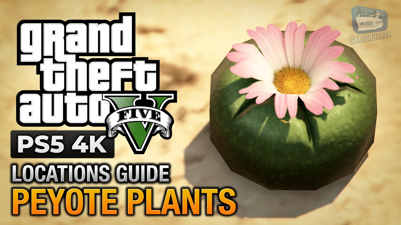 Cheat GTA 5 – Peyote Plants Location Guide (Play as an Animal)