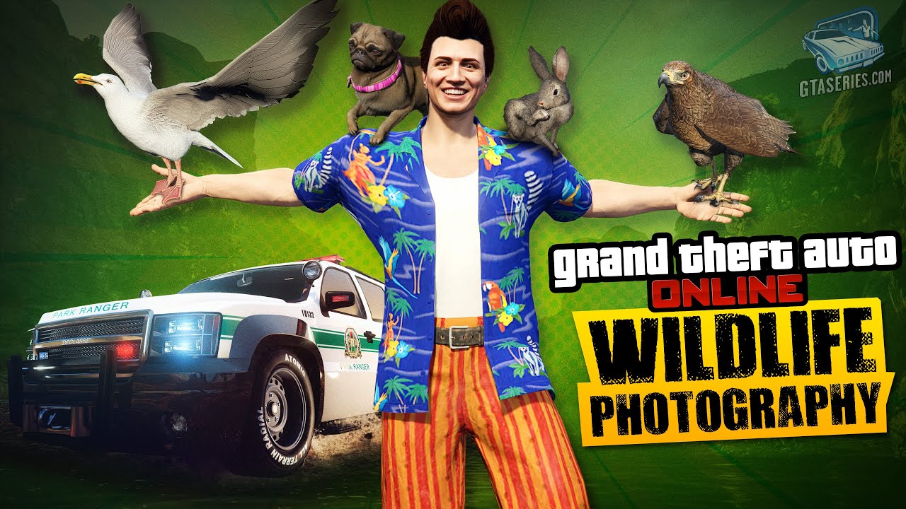 Cheat GTA Online Wildlife Photography – All Animals Locations